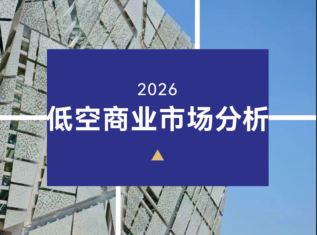 智驭空域·数赢未来:无人机智能决策系统市场全景洞察与战略布局