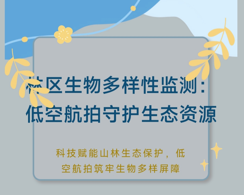 林区生物多样性监测: 低空航拍守护生态资源