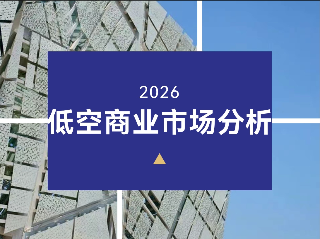 智驭空域·数赢未来:无人机智能决策系统市场全景洞察与战略布局